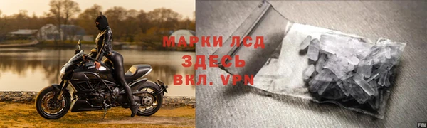 индика Богданович
