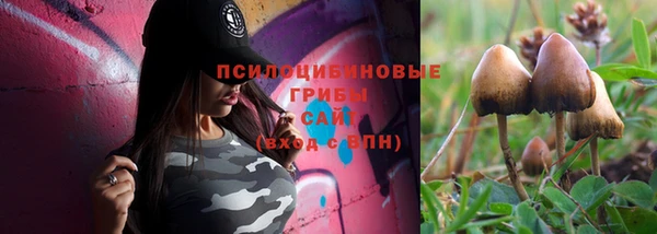 мдма Богородицк