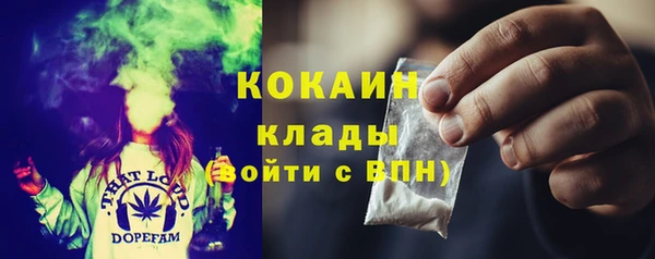 индика Богданович