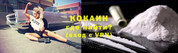 индика Богданович