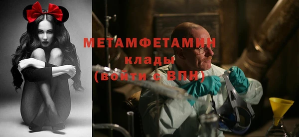 индика Богданович
