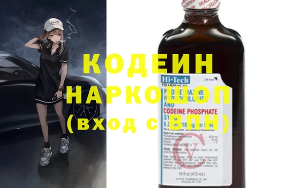 индика Богданович