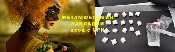 индика Богданович