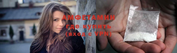 индика Богданович