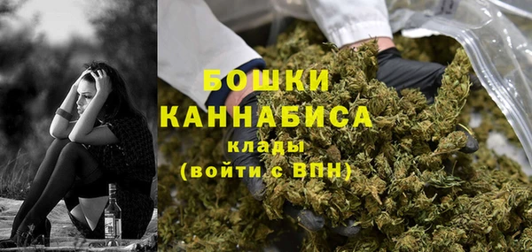 МДПВ Богородск