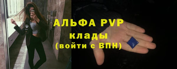 индика Богданович