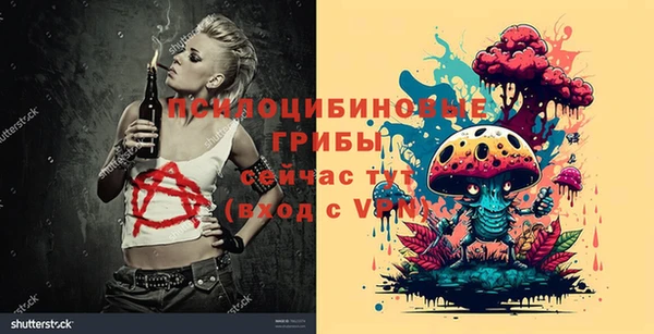 мдма Богородицк