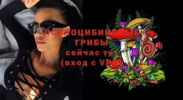 индика Богданович