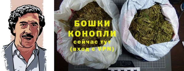 МДПВ Богородск