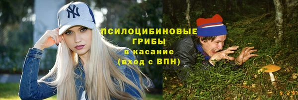 индика Богданович