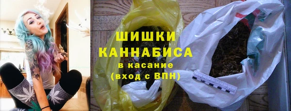 индика Богданович