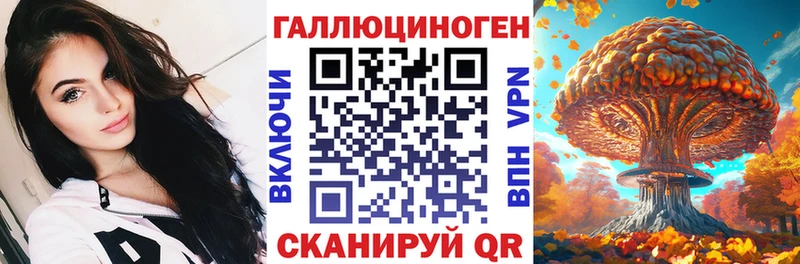 хочу наркоту  Кириши  Галлюциногенные грибы Cubensis 